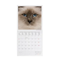 Calendrier Mural 2025 - 18 x 18 cm