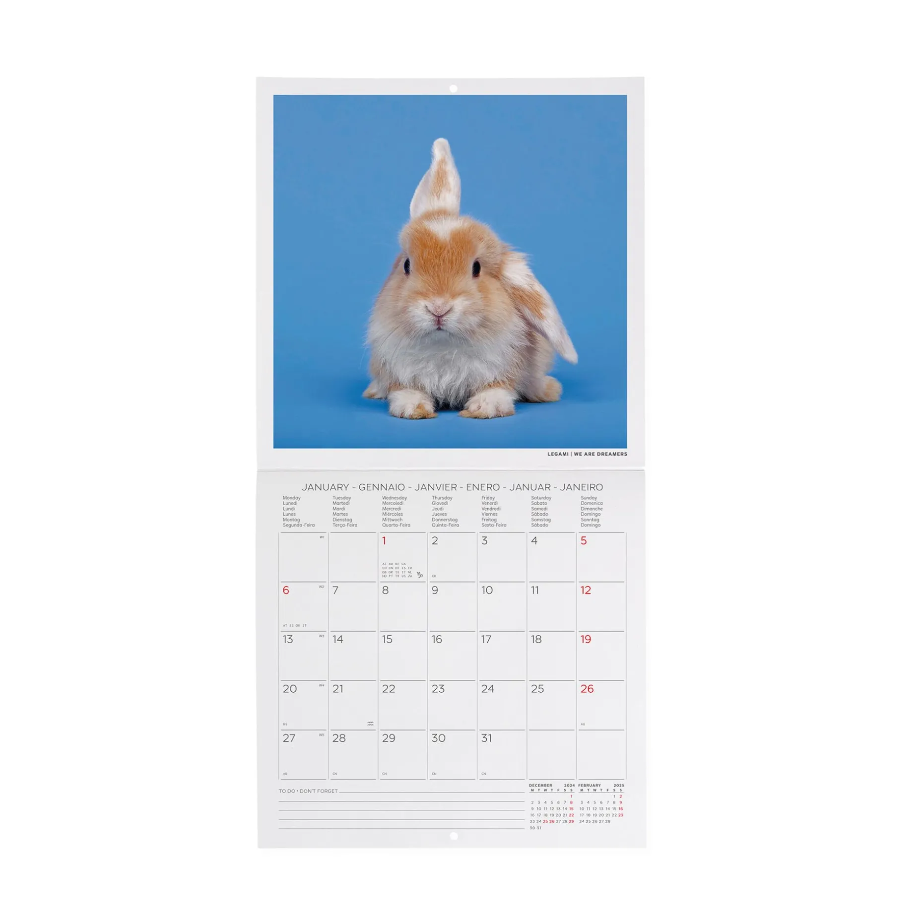 Calendrier Mural 2025 - 18 x 18 cm