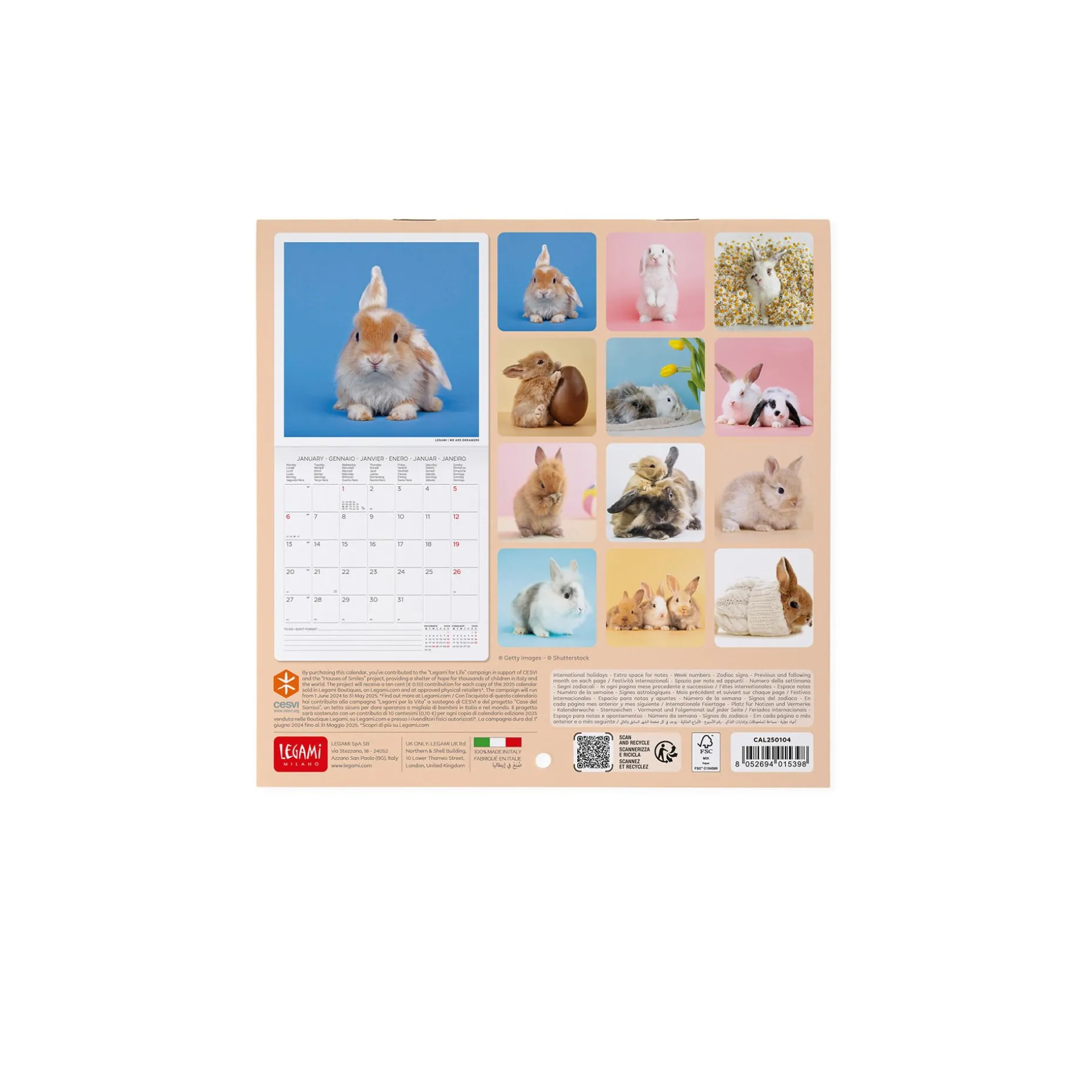 Calendrier Mural 2025 - 18 x 18 cm