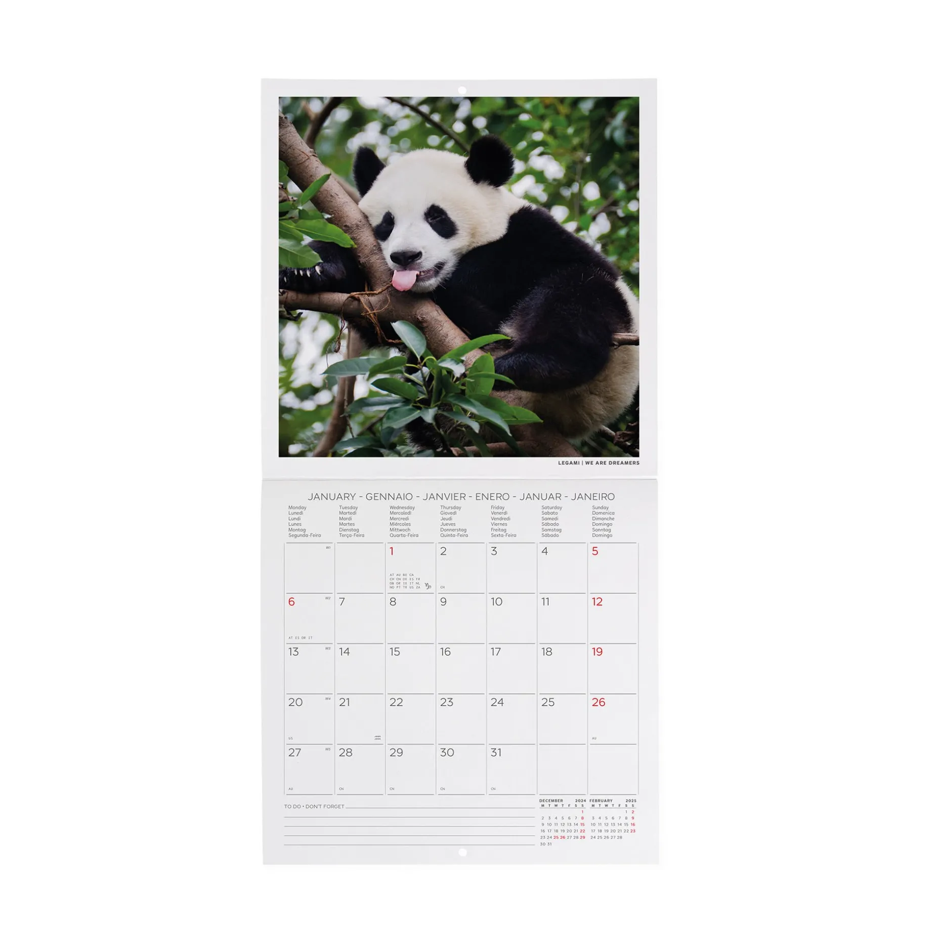 Calendrier Mural 2025 - 18 x 18 cm
