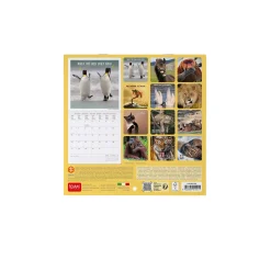 Calendrier Mural 2025 - 18 x 18 cm