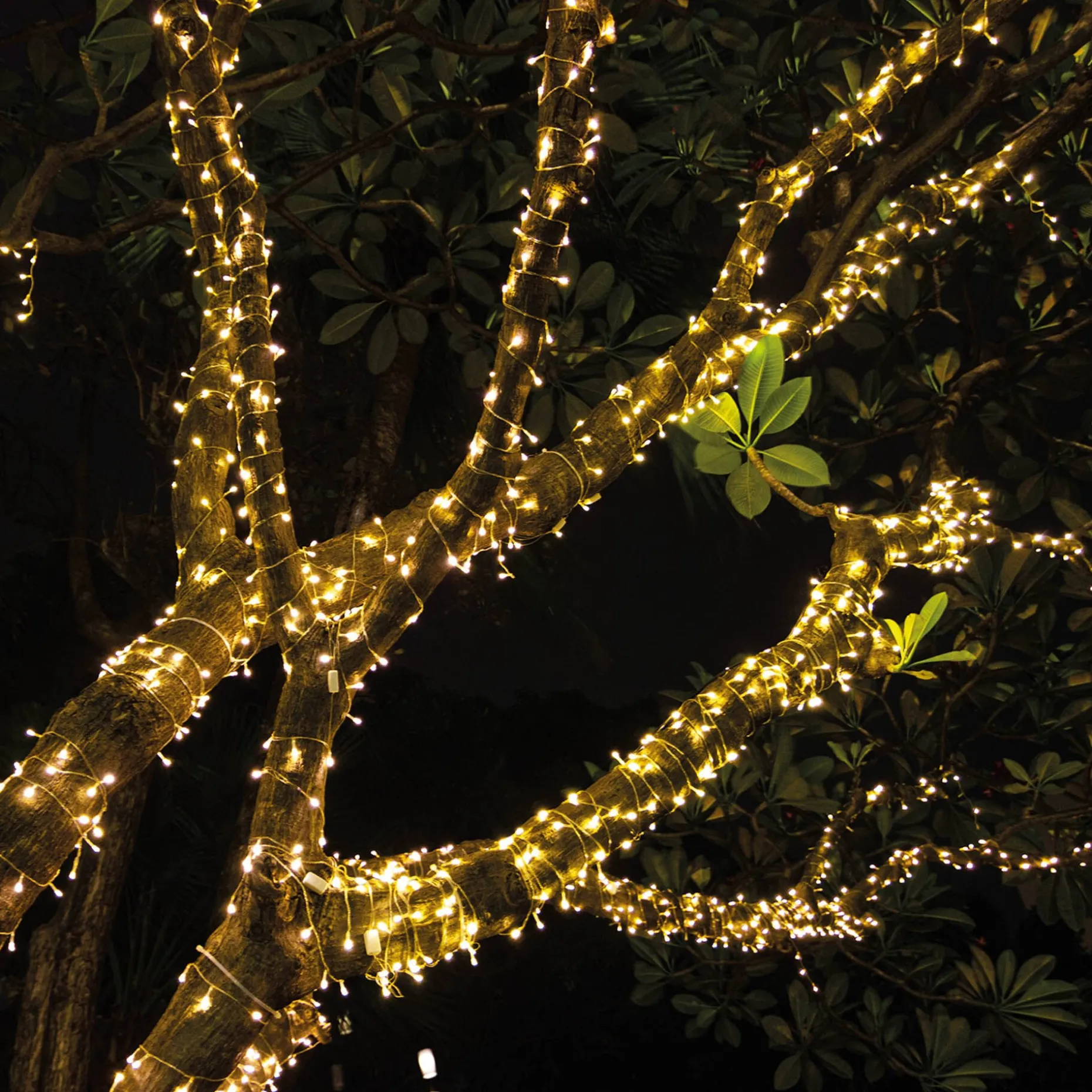 Guirlande Lumineuse pour Intérieur et Extérieur