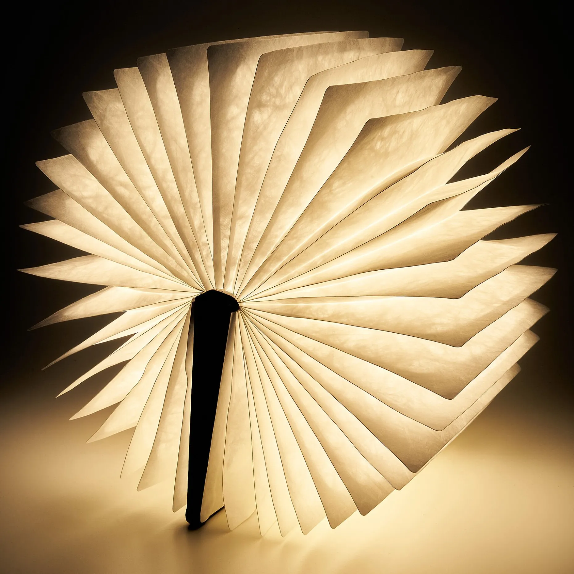 Livre Lumineux Large - Light Book