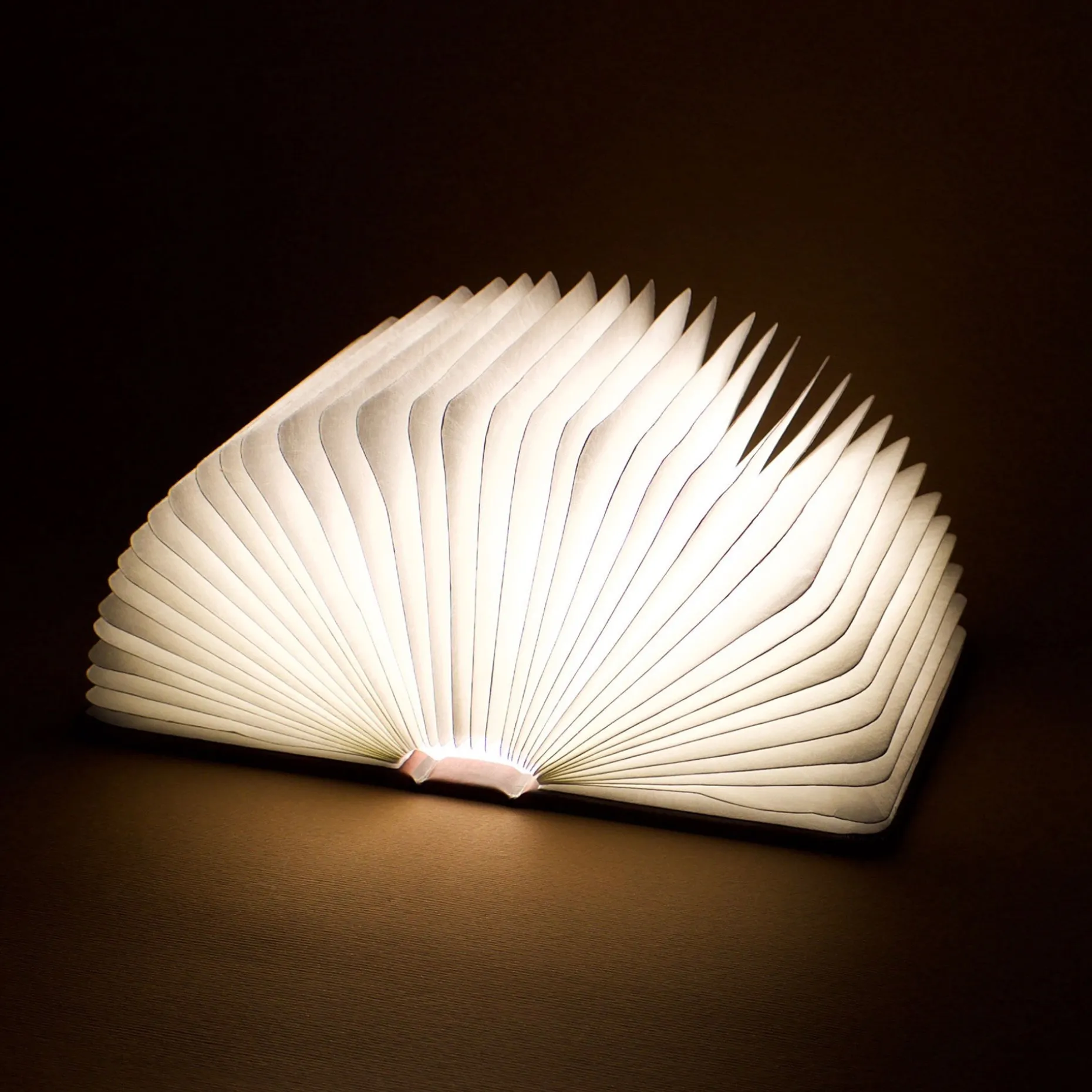 Livre Lumineux Small - Light Book