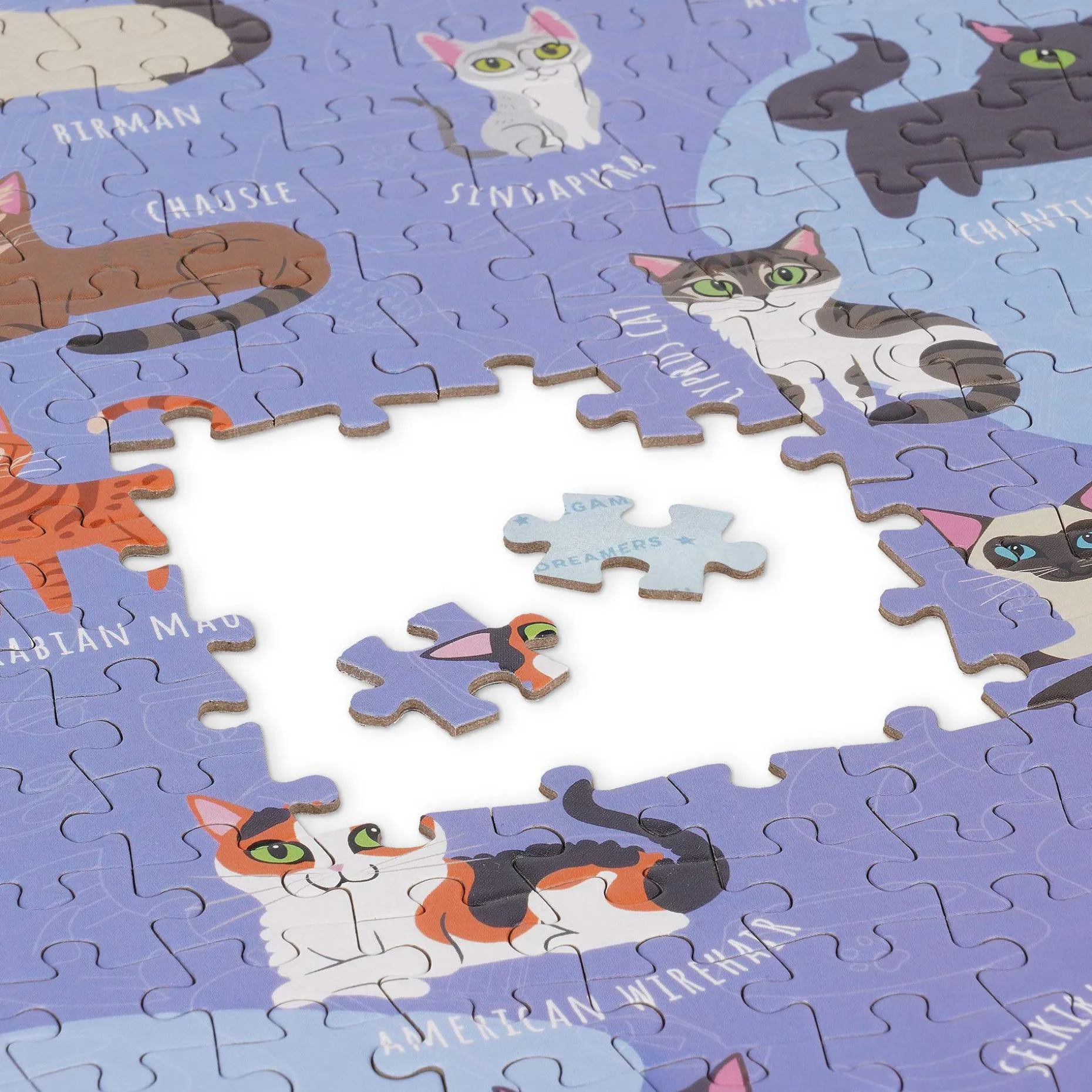 Puzzle de 1000 pièces