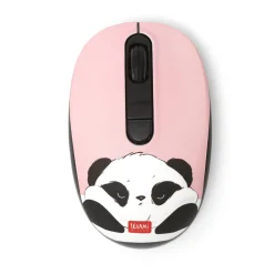 Souris San Fil avec Récepteur USB