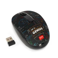 Souris San Fil avec Récepteur USB